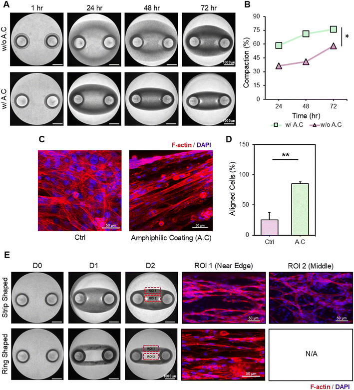 image file: d5lc01040c-f3.tif