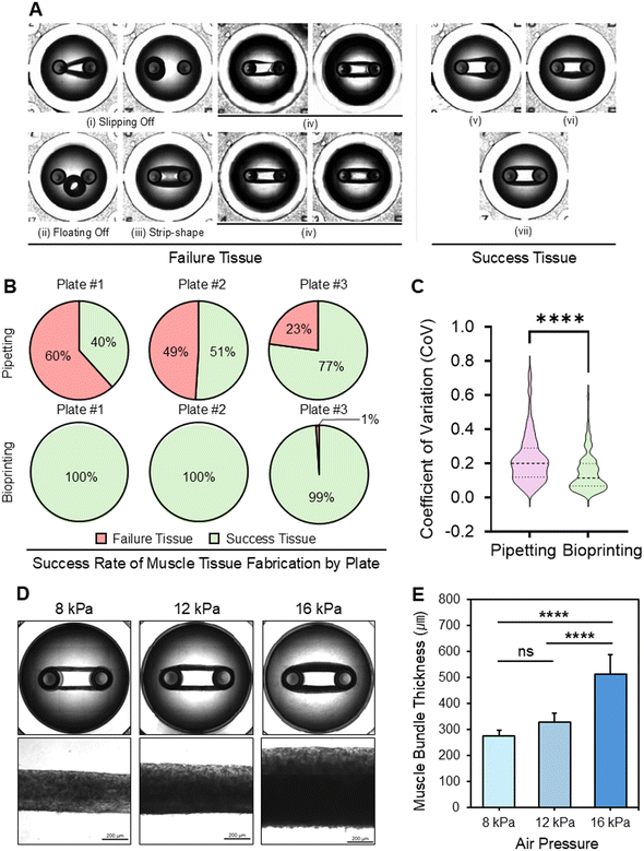 image file: d5lc01040c-f5.tif