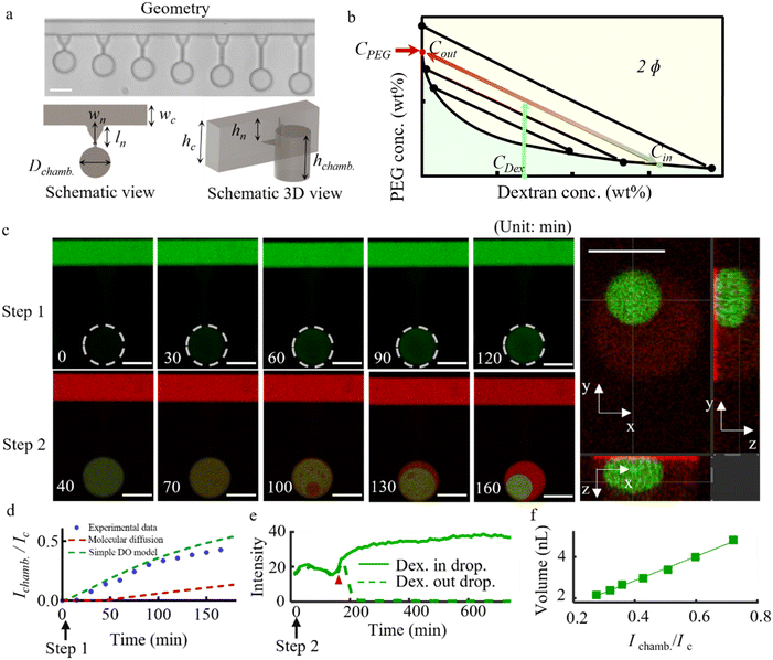 image file: d5lc01055a-f2.tif