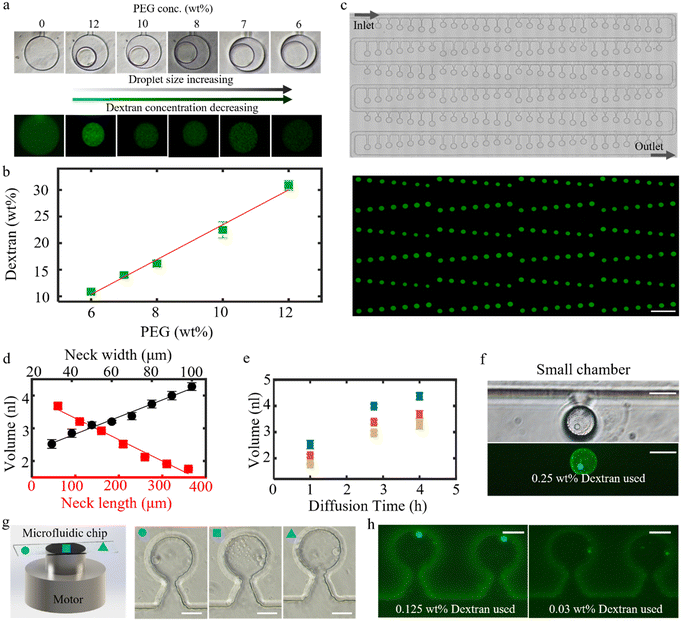 image file: d5lc01055a-f3.tif