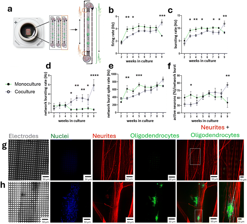 image file: d5lc01062d-f4.tif