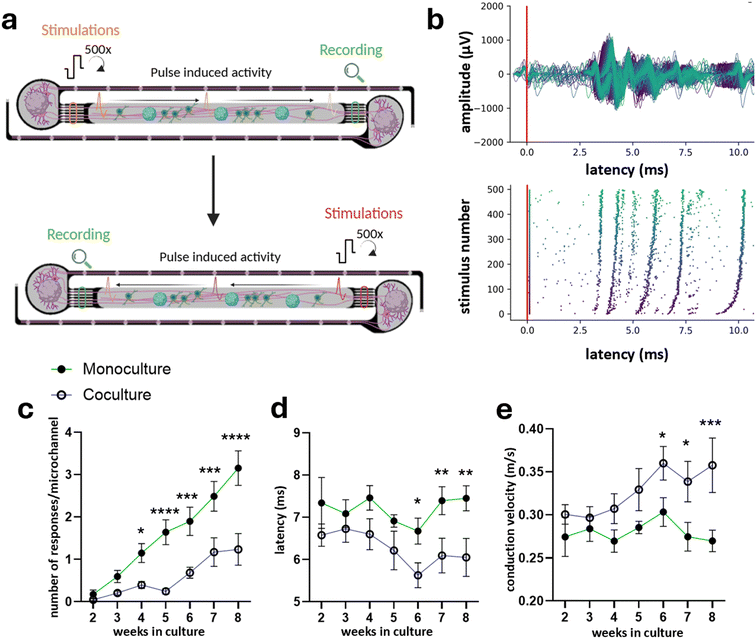 image file: d5lc01062d-f5.tif