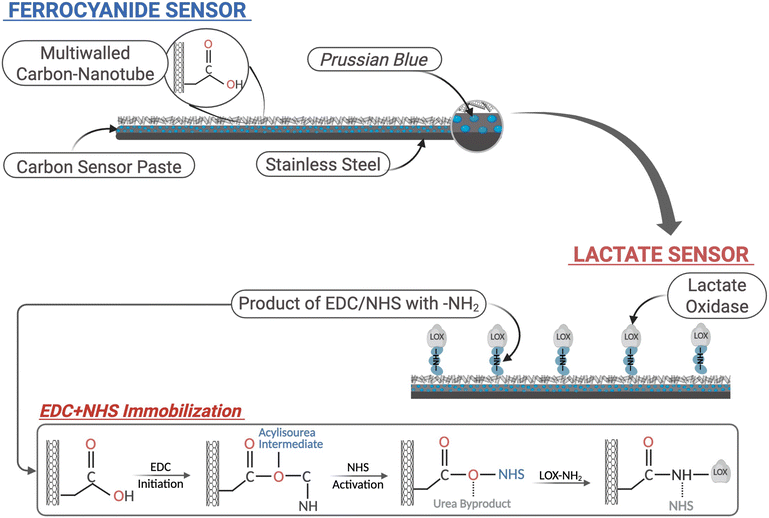 image file: d5lc01063b-f2.tif