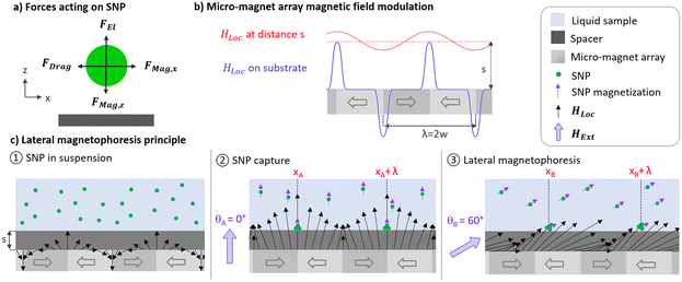 image file: d5lc01072a-f1.tif