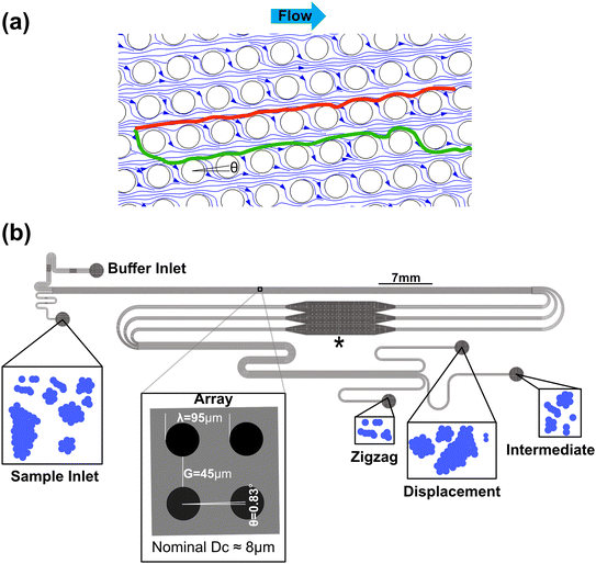 image file: d5lc01111f-f1.tif