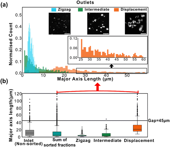 image file: d5lc01111f-f2.tif
