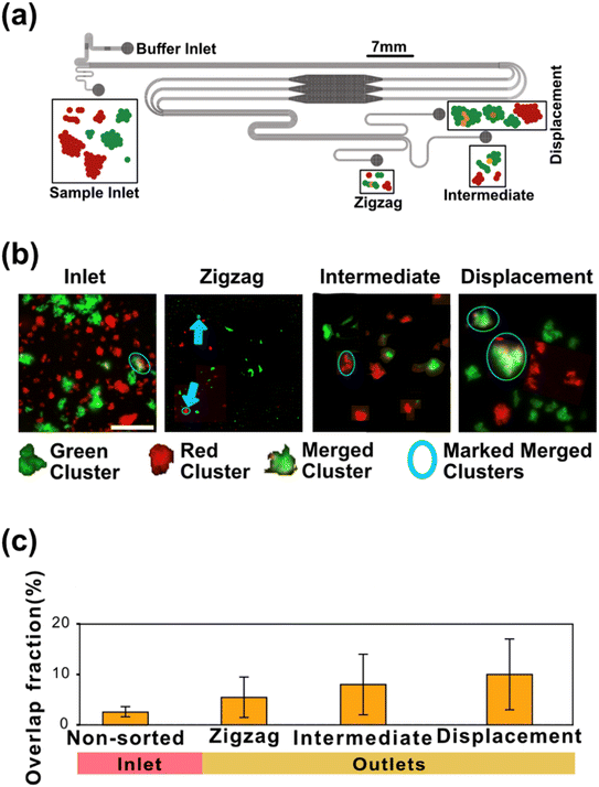 image file: d5lc01111f-f5.tif