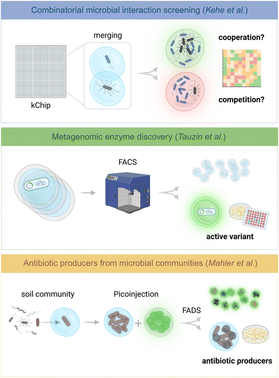 image file: d5lc01115a-f3.tif