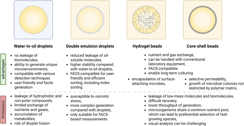 image file: d5lc01115a-f4.tif