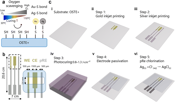 image file: d5lc01117e-f2.tif