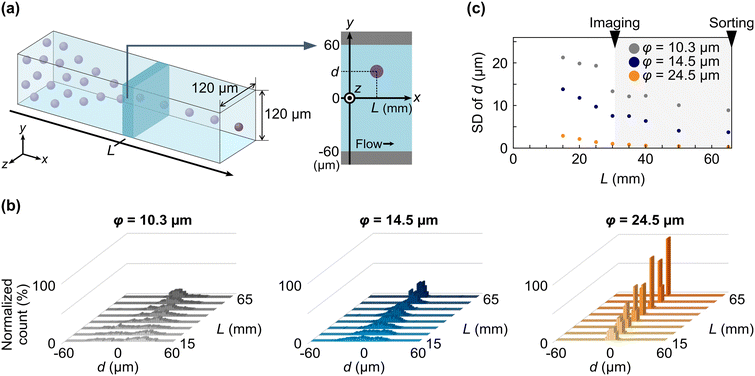 image file: d5lc01143d-f2.tif