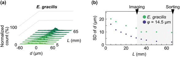 image file: d5lc01143d-f3.tif