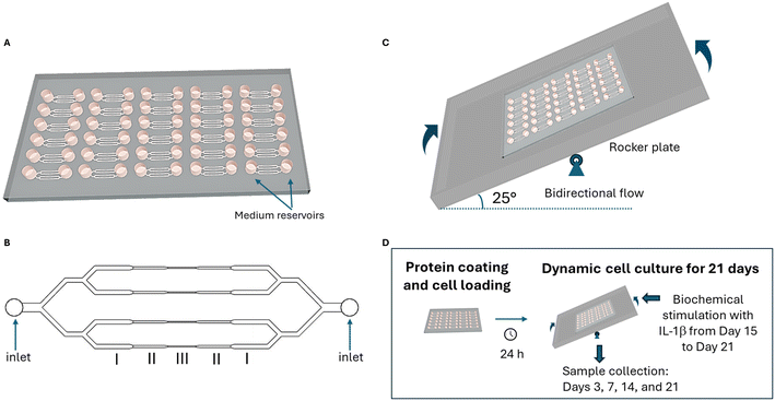 image file: d5lc01167a-f1.tif