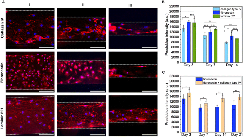 image file: d5lc01167a-f2.tif