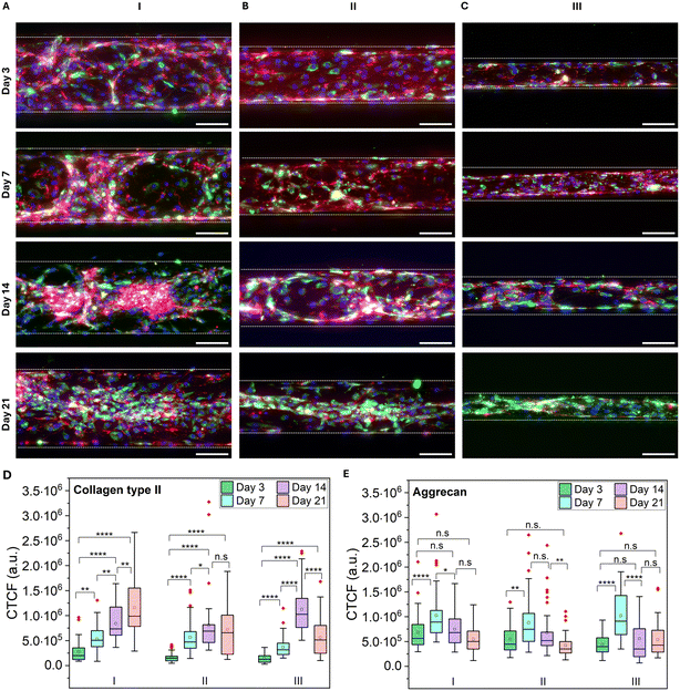 image file: d5lc01167a-f5.tif