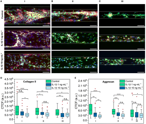 image file: d5lc01167a-f7.tif