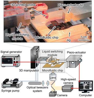image file: d6lc00004e-f2.tif