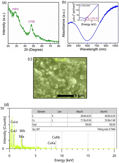 image file: d5lf00032g-f1.tif