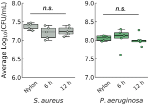 image file: d5lf00048c-f2.tif