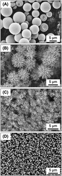 image file: d5lf00048c-f8.tif