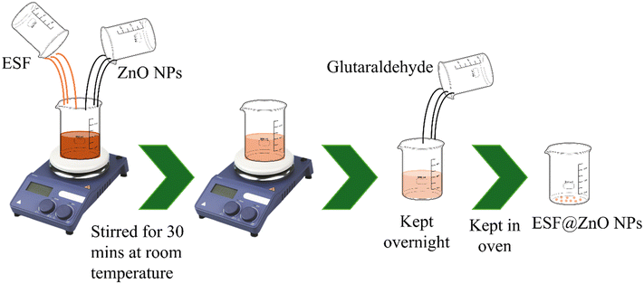 image file: d5lf00271k-s3.tif