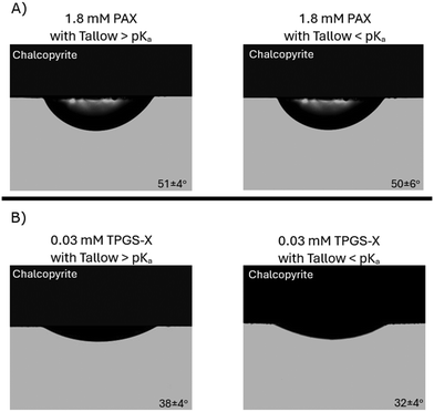 image file: d5lf00275c-f11.tif