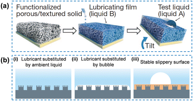 image file: d5lf00281h-f1.tif