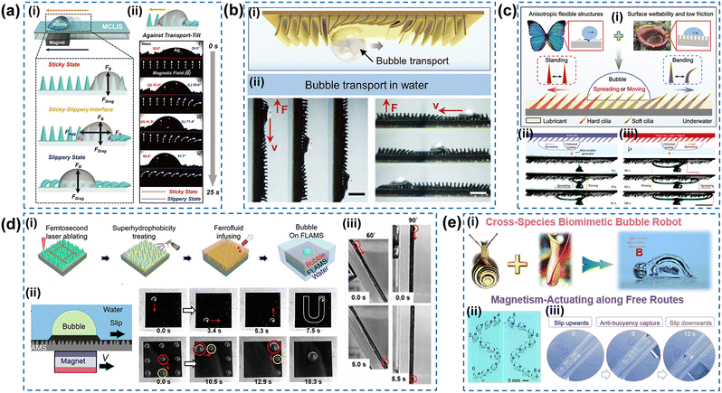image file: d5lf00281h-f4.tif