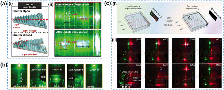 image file: d5lf00281h-f8.tif