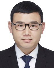 image file: d5lf00281h-p3.tif