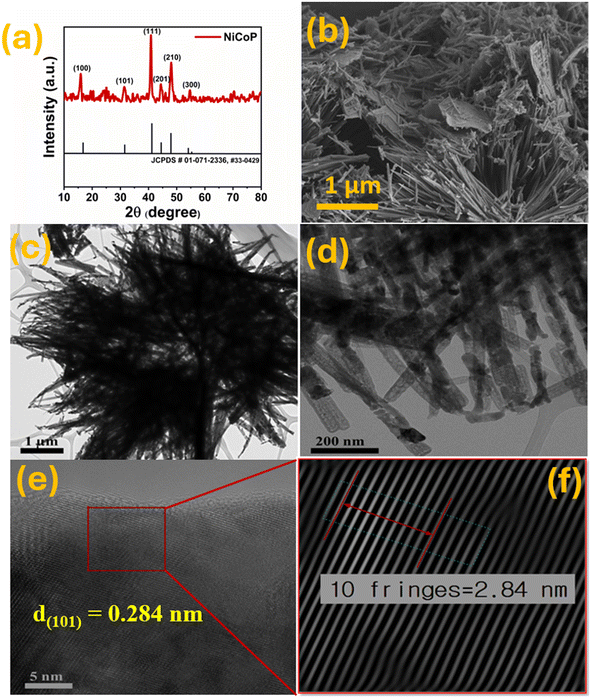 image file: d5lf00288e-f2.tif