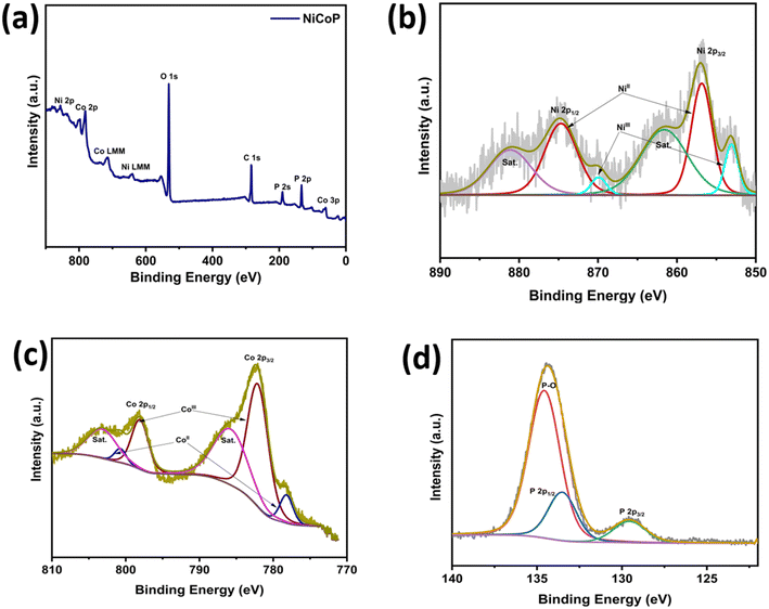 image file: d5lf00288e-f3.tif