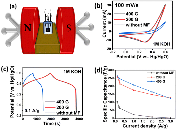 image file: d5lf00288e-f4.tif