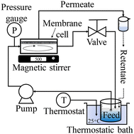 image file: d5lf00291e-f1.tif