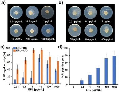image file: d5lf00298b-f4.tif