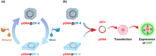 image file: d5lf00306g-s1.tif