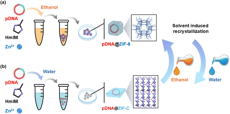 image file: d5lf00306g-s2.tif