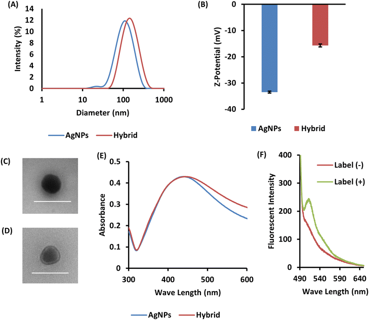 image file: d5lf00329f-f2.tif