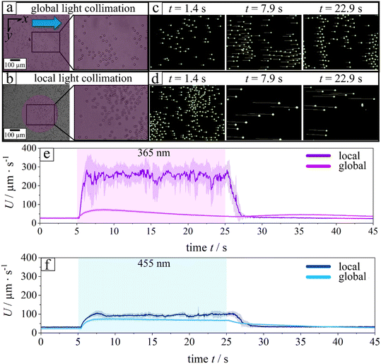 image file: d5lf00341e-f1.tif