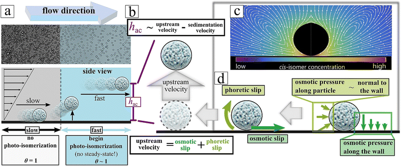 image file: d5lf00341e-f2.tif