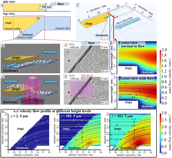 image file: d5lf00341e-f5.tif