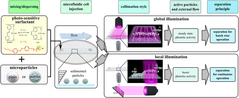 image file: d5lf00341e-s1.tif