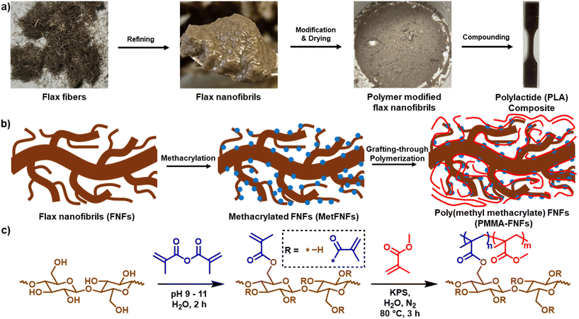 image file: d5lf00342c-f1.tif