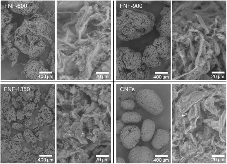 image file: d5lf00342c-f4.tif