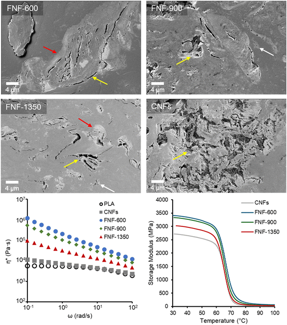 image file: d5lf00342c-f6.tif