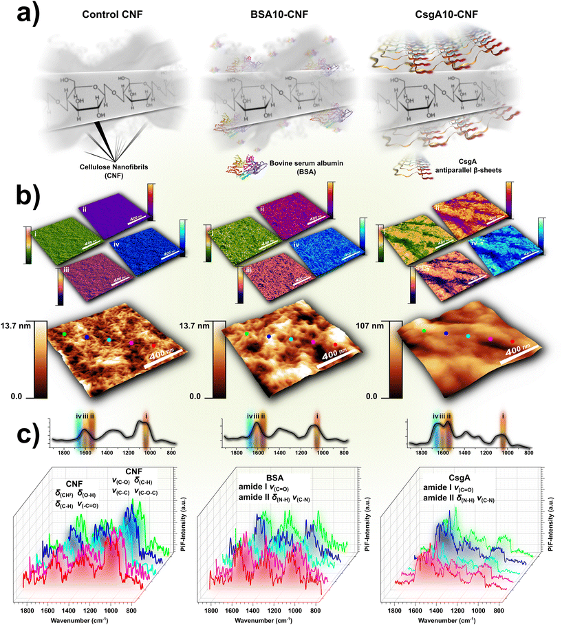 image file: d5lf00346f-f7.tif