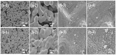 image file: d5lf00358j-f2.tif