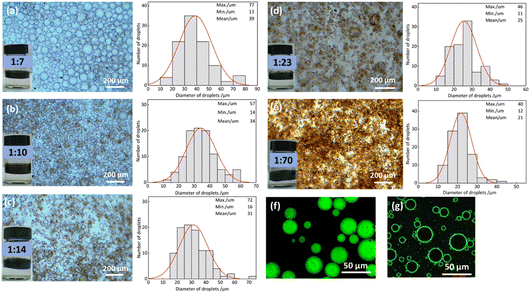 image file: d5lf00367a-f5.tif