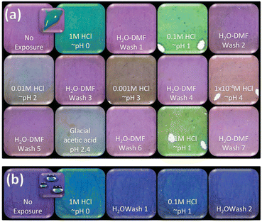 image file: d5lf00378d-f3.tif