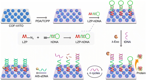 image file: d5lf00380f-f10.tif